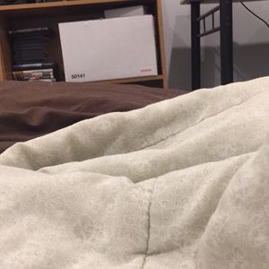 Meet your Posher, Ava